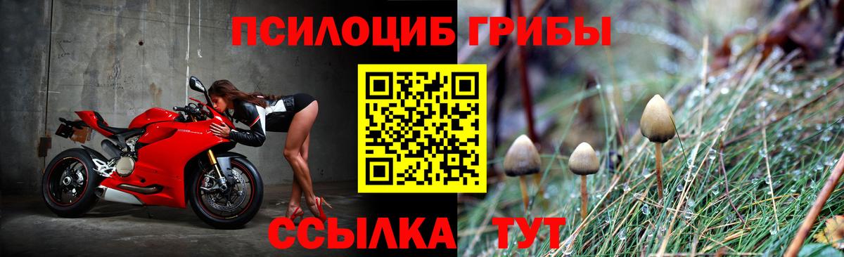 Псилоцибиновые грибы мухоморы  Вход с VPN  Алушта 